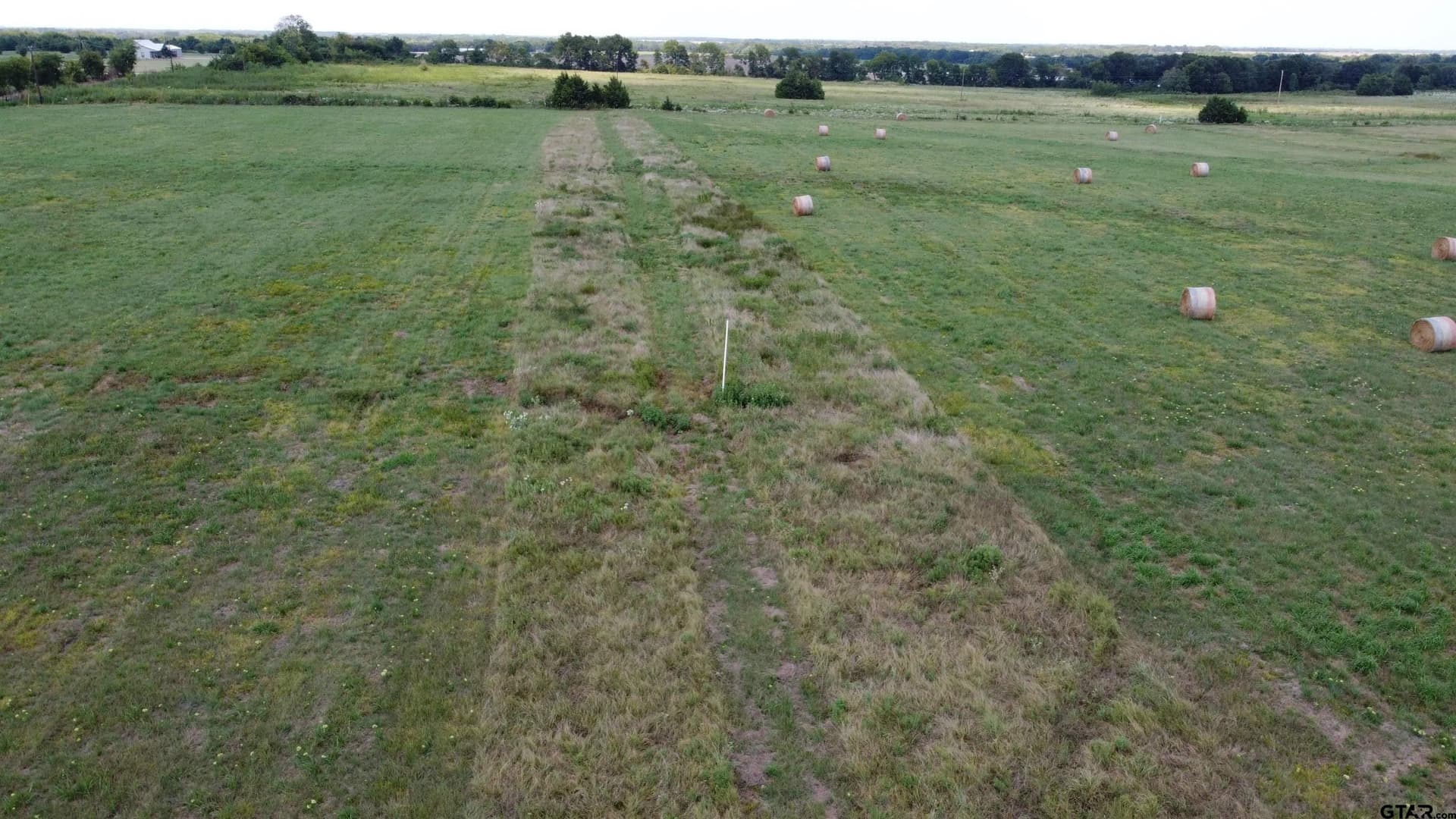 5 acres in Delta County gallery image 4