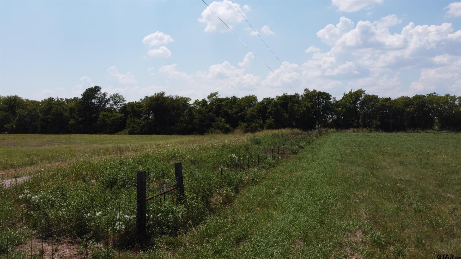 5 acres in Delta County gallery image 3