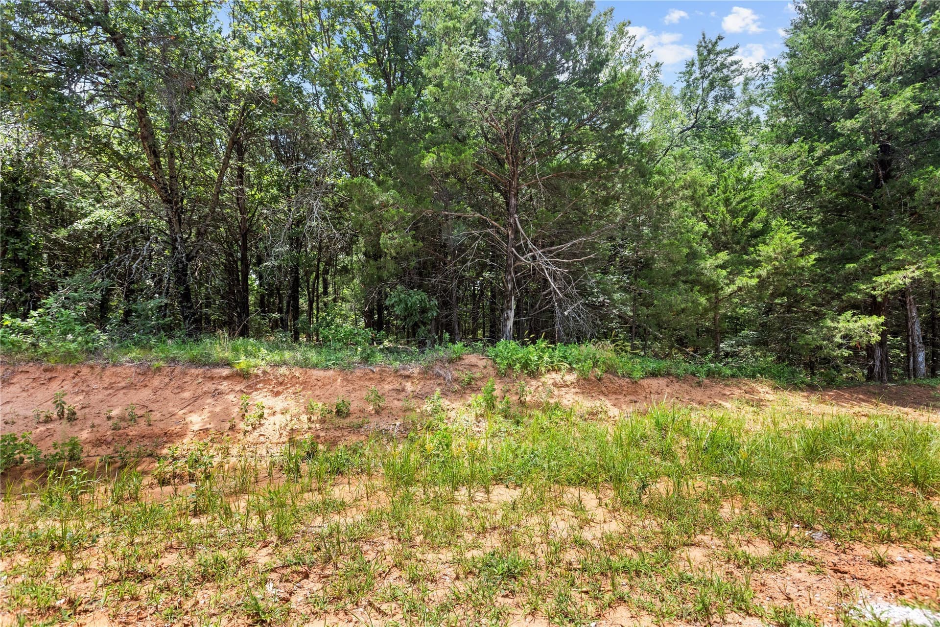 1.97 acres in Grayson County - photo 8