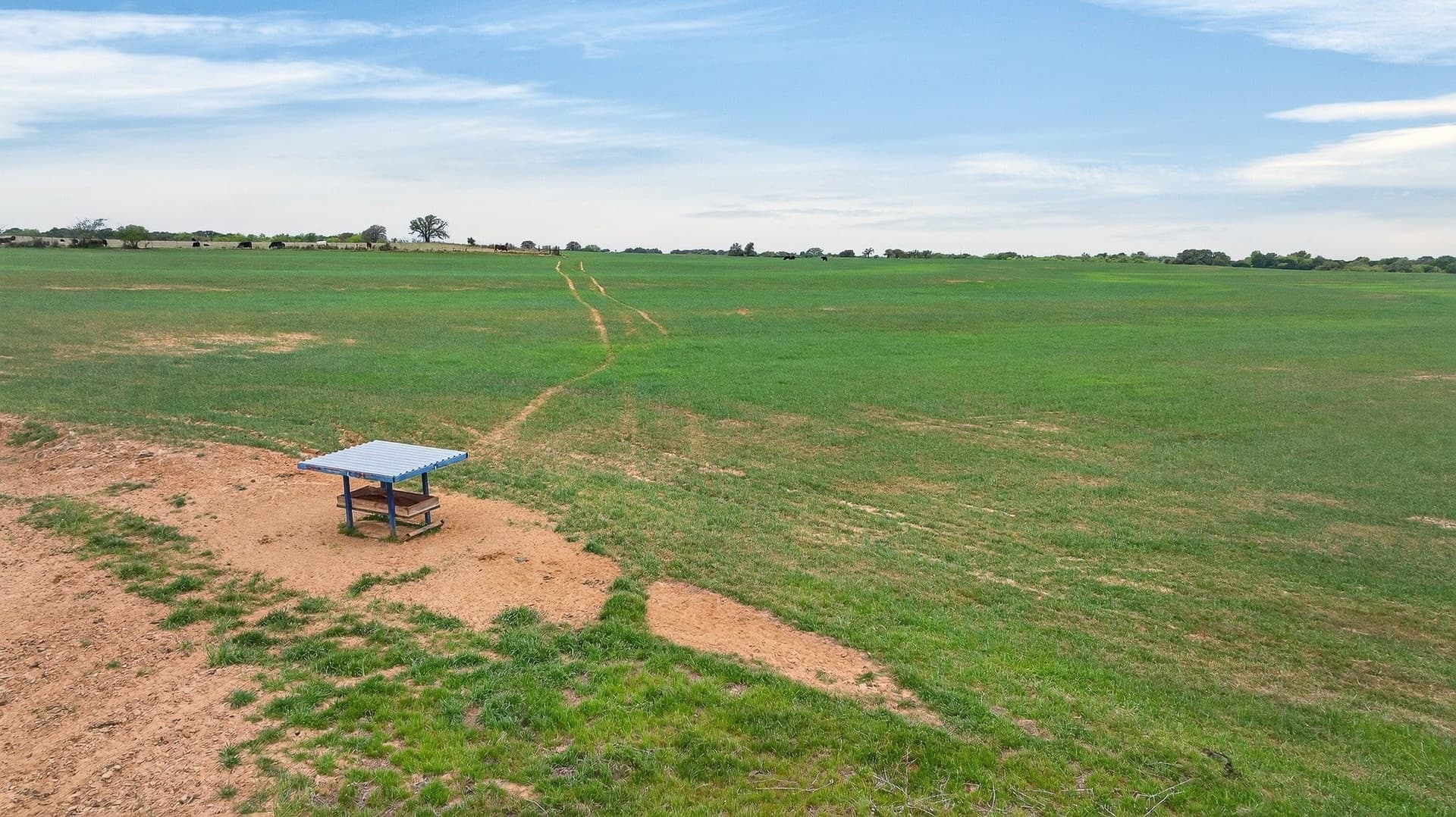 163 acres in Hood County - photo 6
