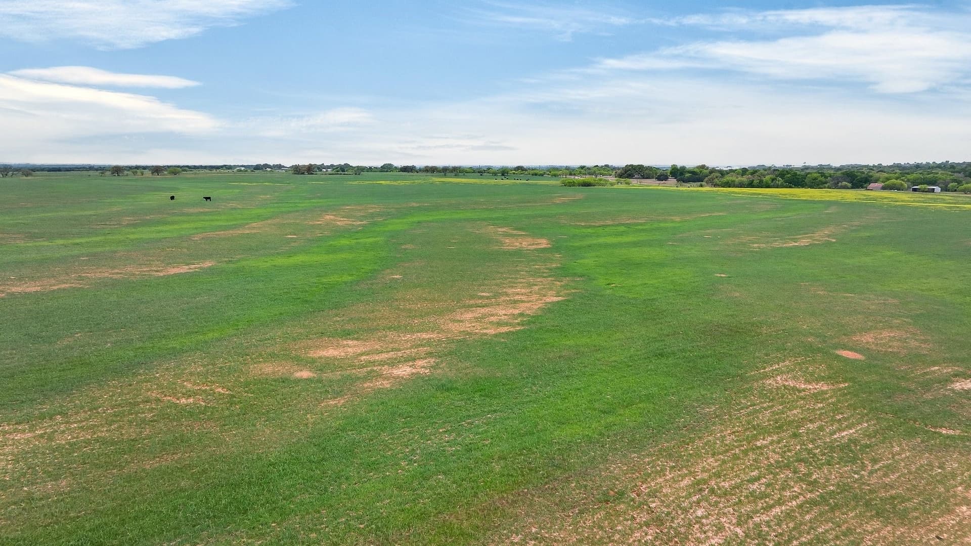 163 acres in Hood County featured view