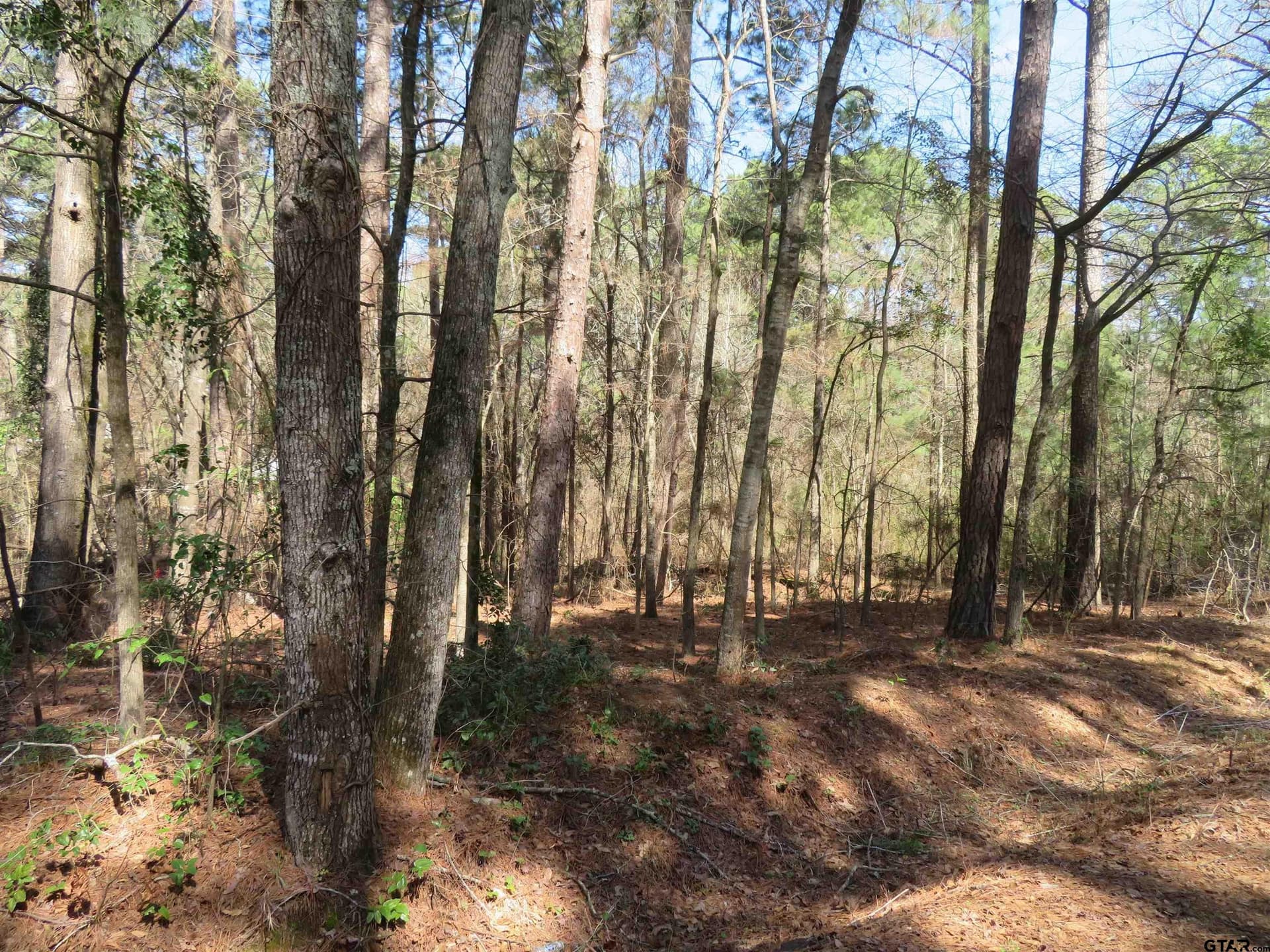 0.29 acres in Smith County gallery image 4