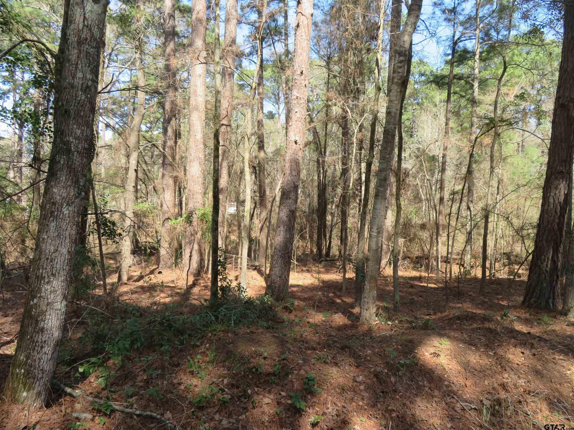 0.29 acres in Smith County