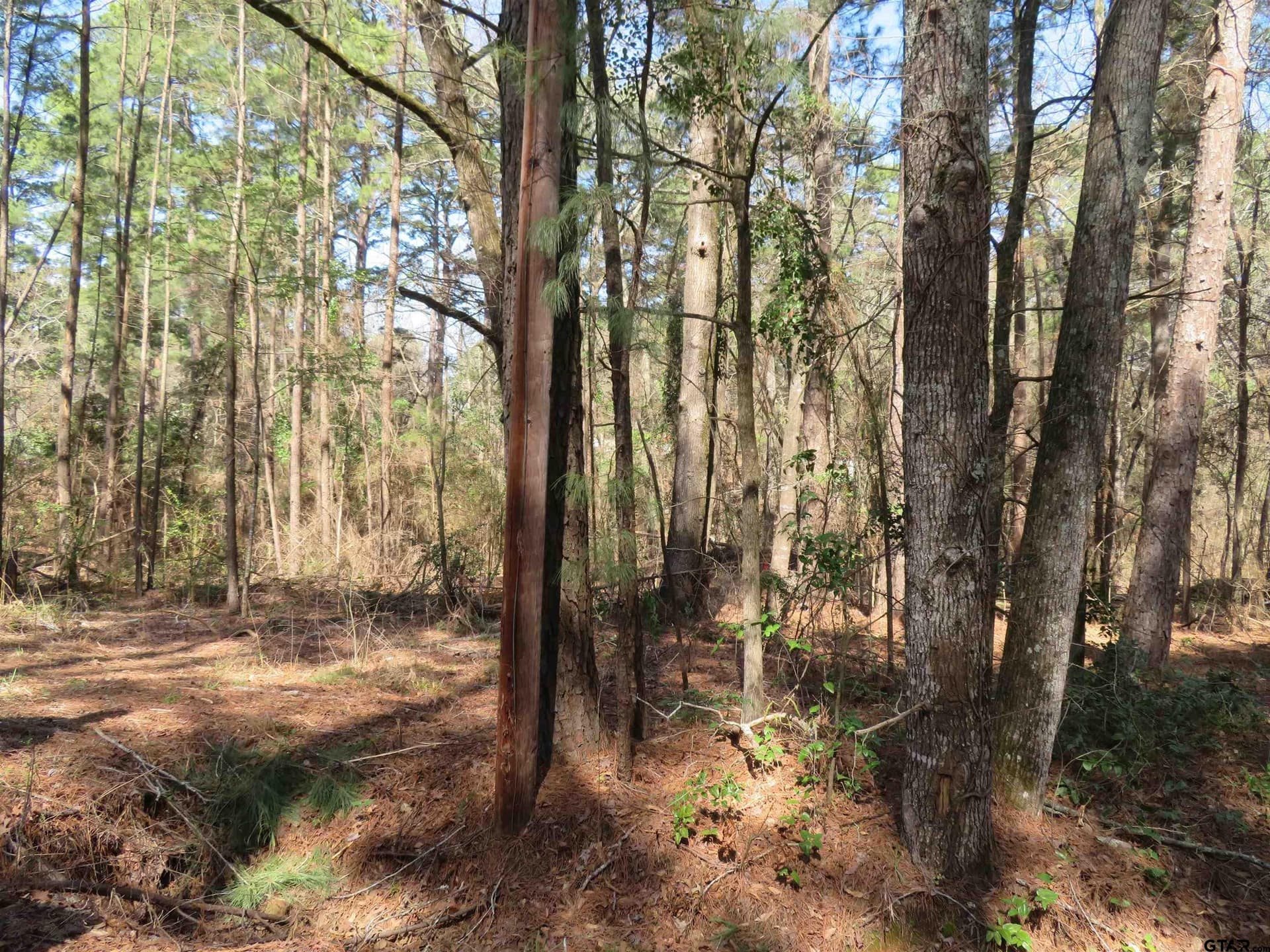 0.29 acres in Smith County featured view