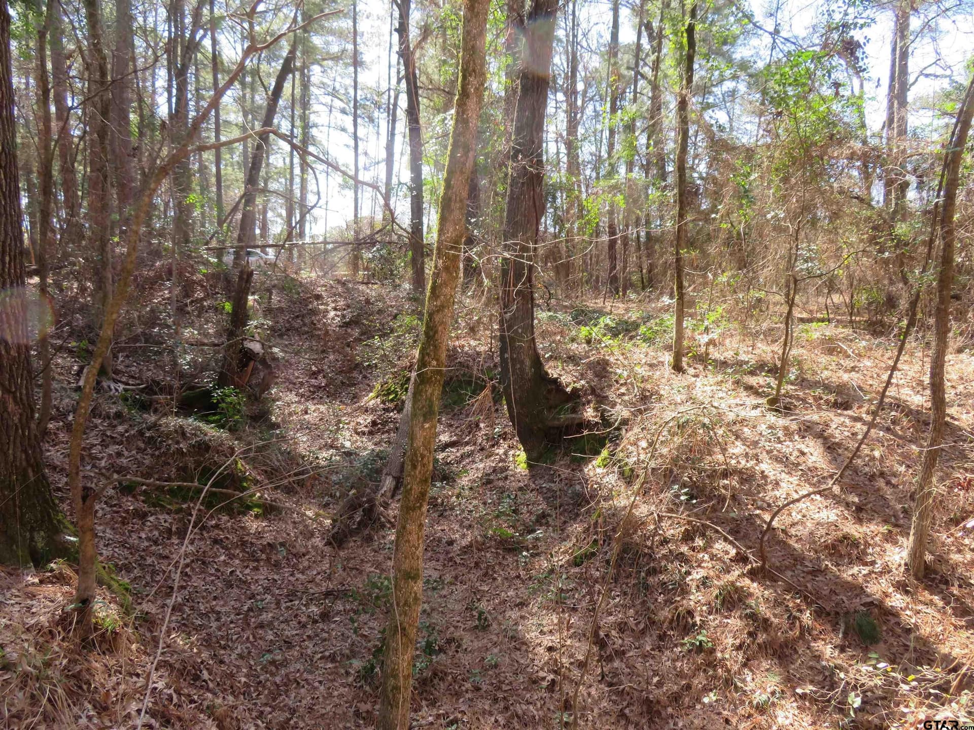 0.29 acres in Smith County gallery image 2