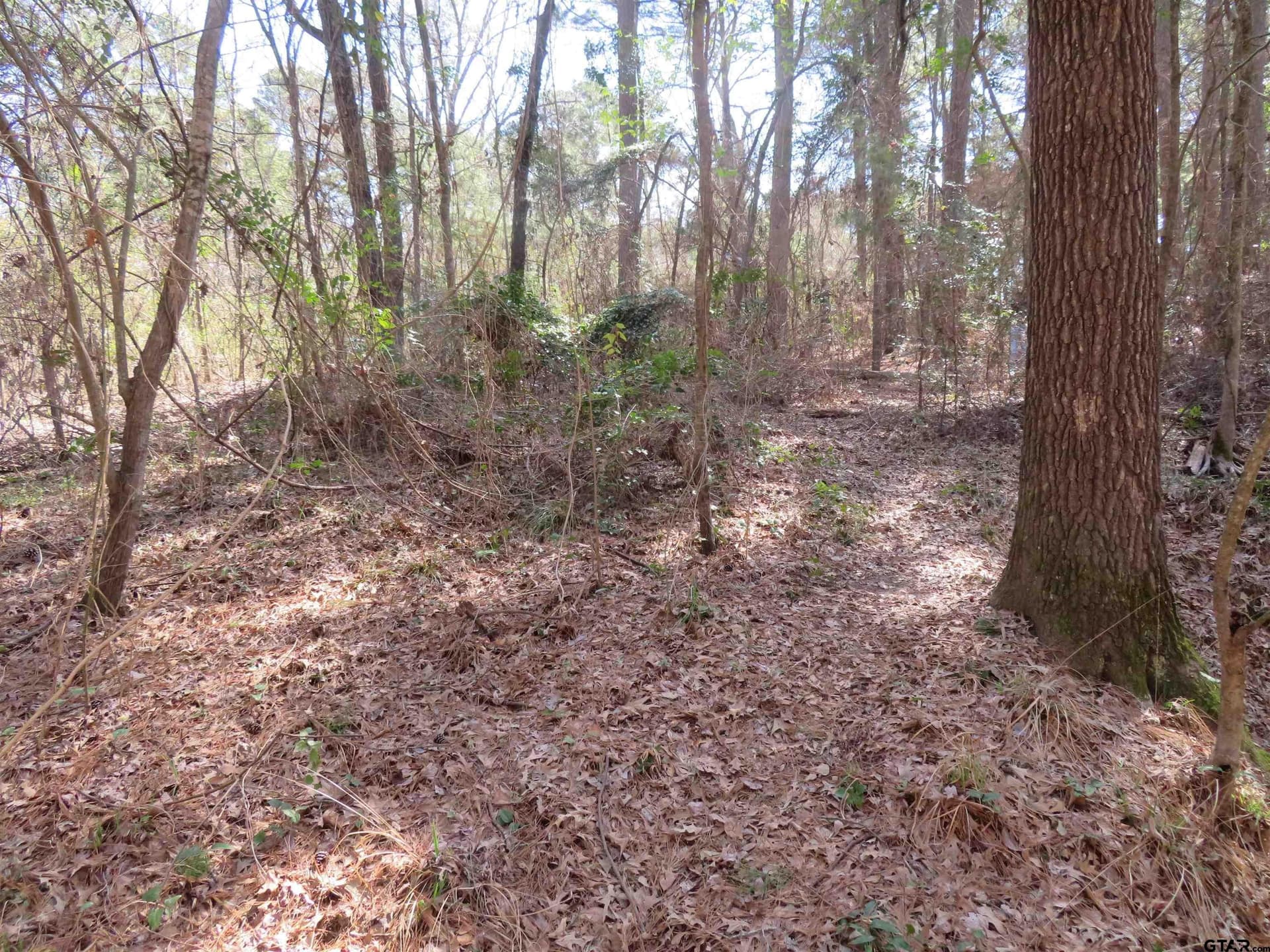 0.29 acres in Smith County gallery image 3