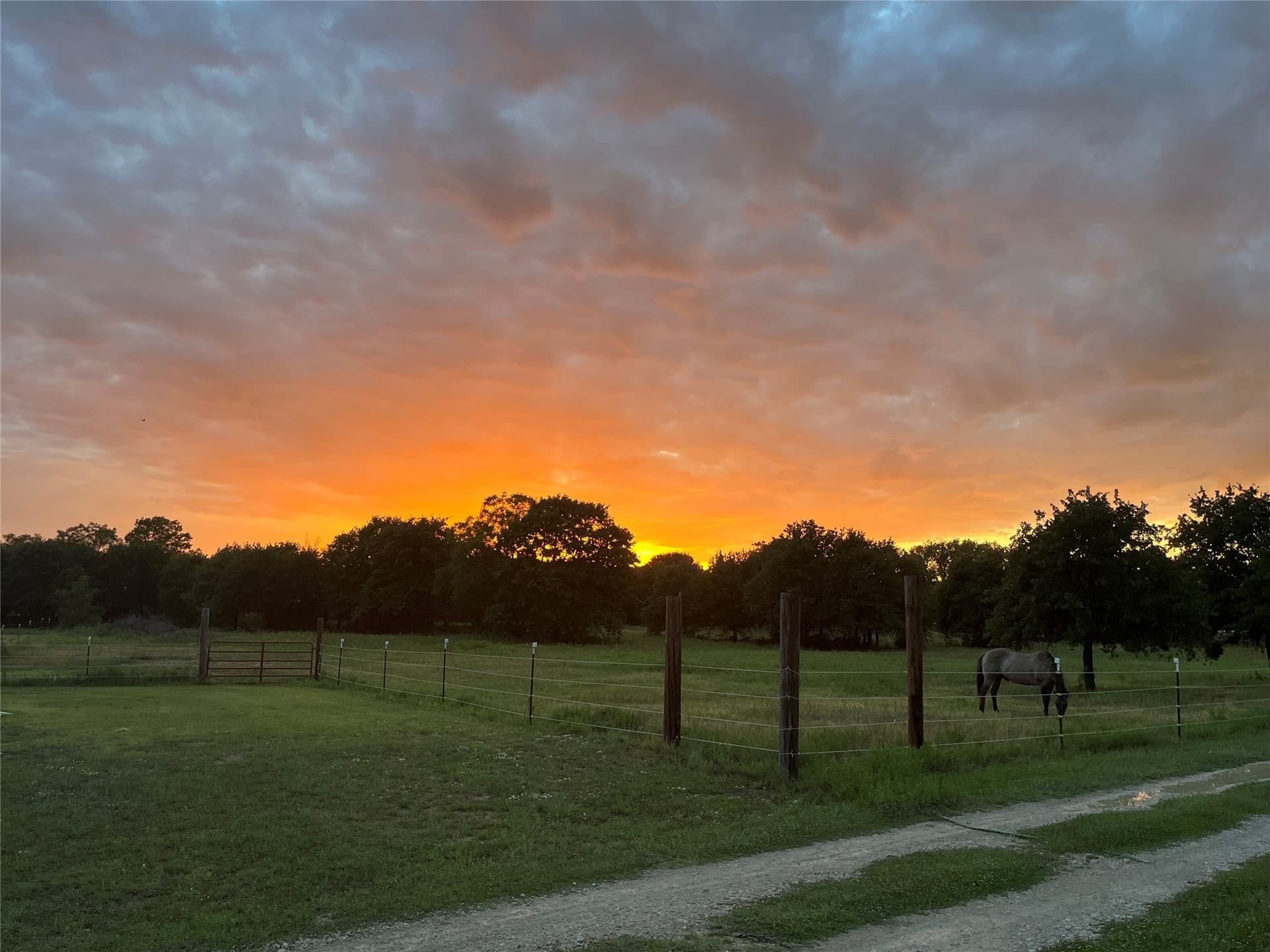 11.5 acres in Callahan County - photo 36
