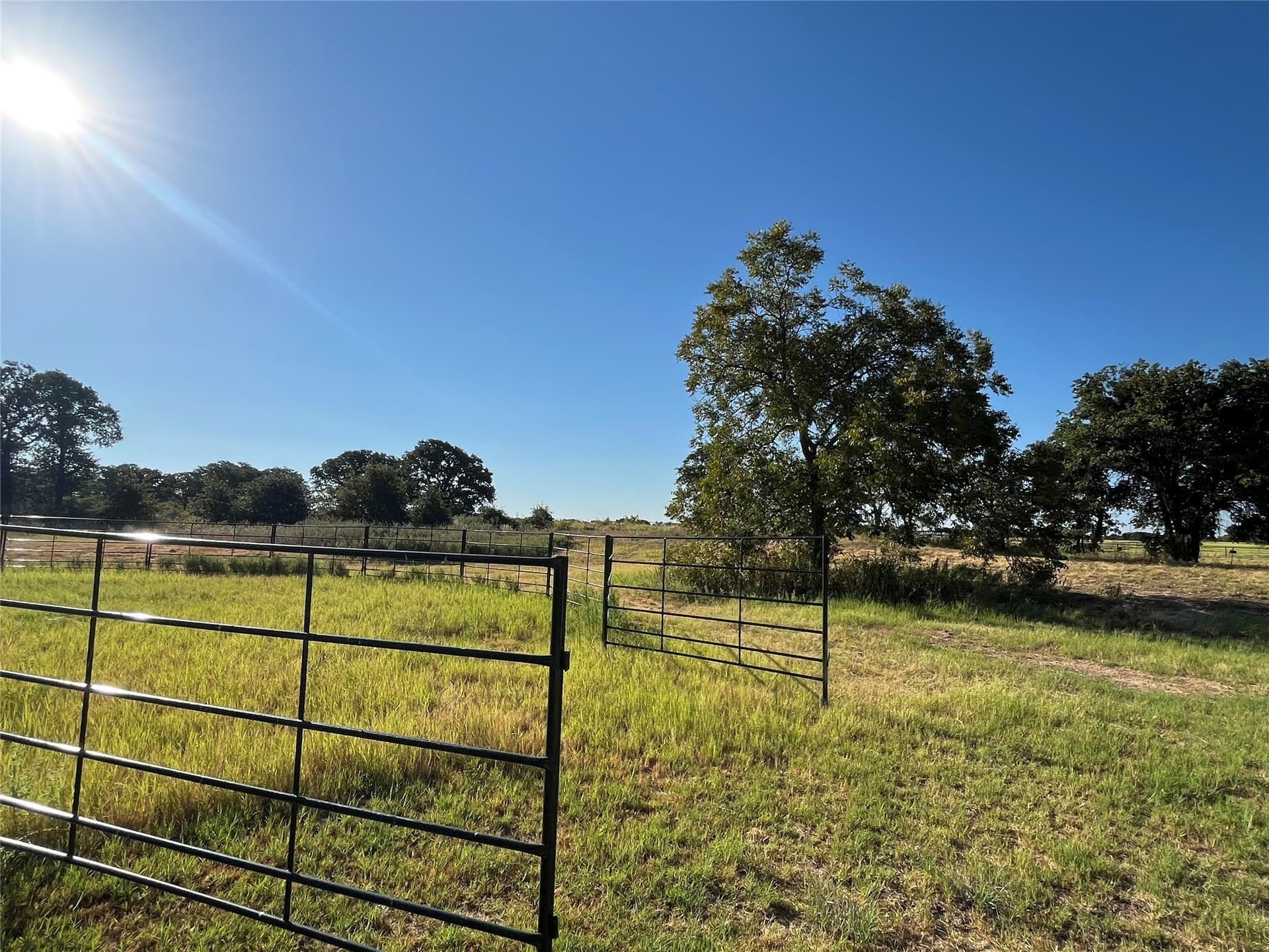 11.5 acres in Callahan County - photo 40