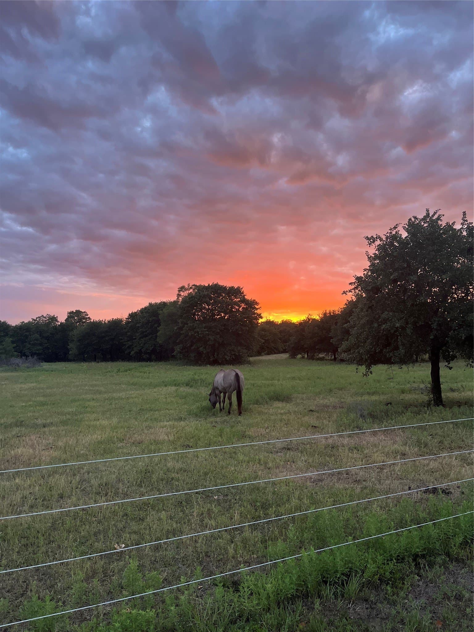 11.5 acres in Callahan County - photo 37
