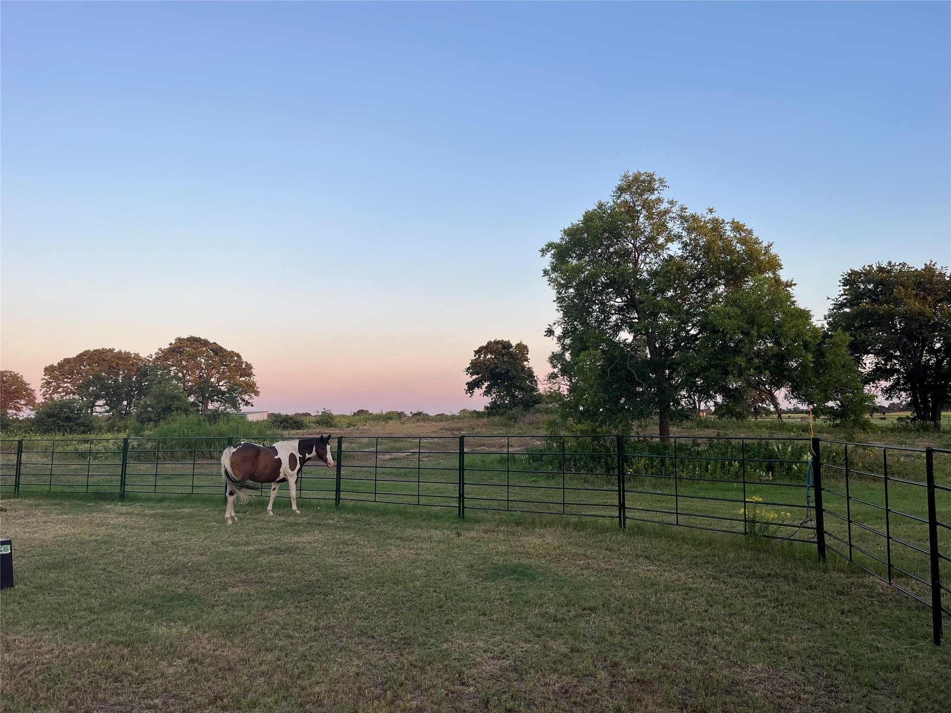 11.5 acres in Callahan County - photo 3