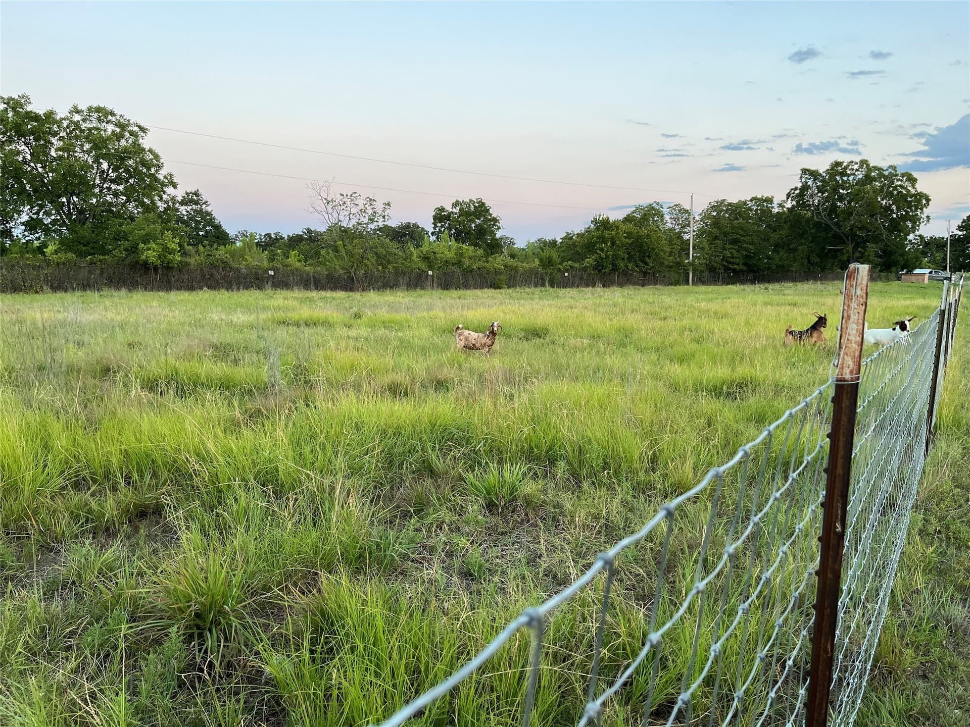11.5 acres in Callahan County - photo 39