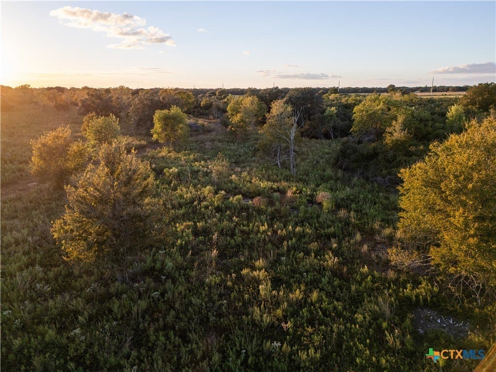 50 acres in Wharton County - photo 6