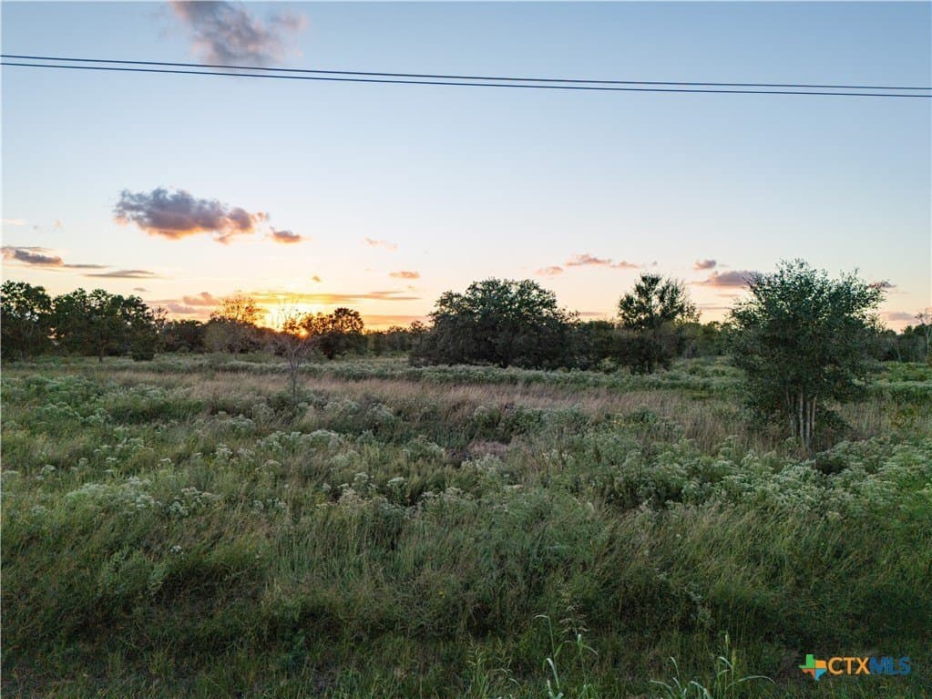 50 acres in Wharton County - photo 8