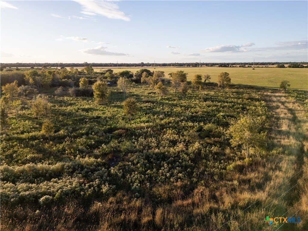 50 acres in Wharton County - photo 4