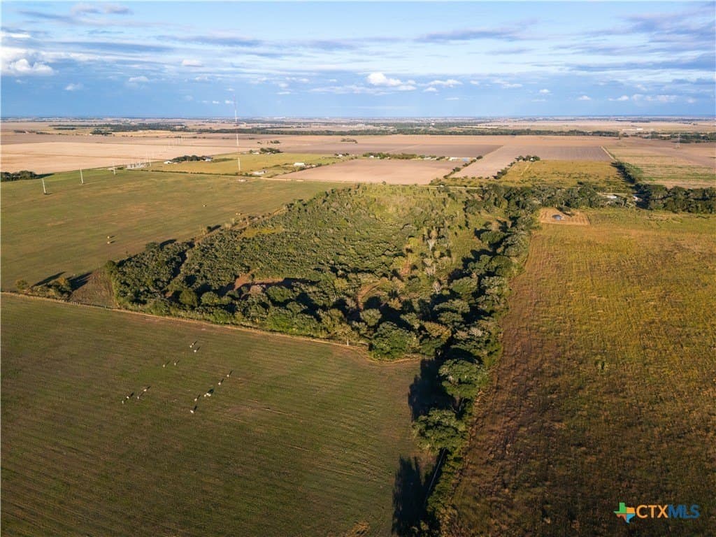 50 acres in Wharton County - photo 10