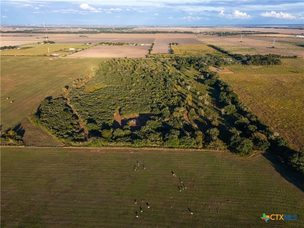 50 acres in Wharton County - photo 9