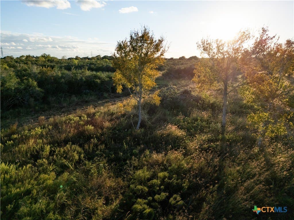 50 acres in Wharton County - photo 5