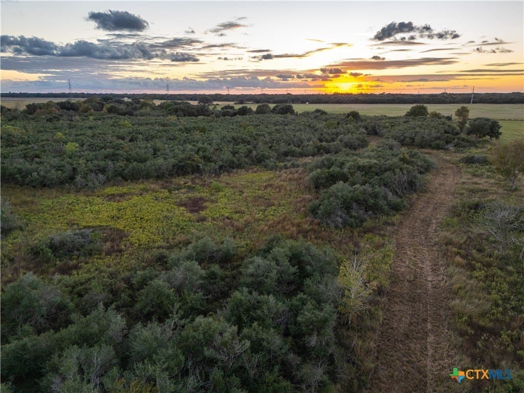 50 acres in Wharton County - photo 2