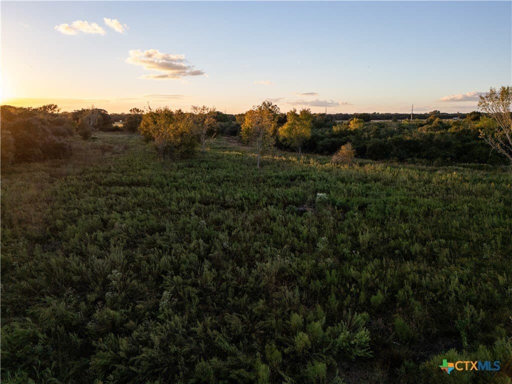 50 acres in Wharton County - photo 7