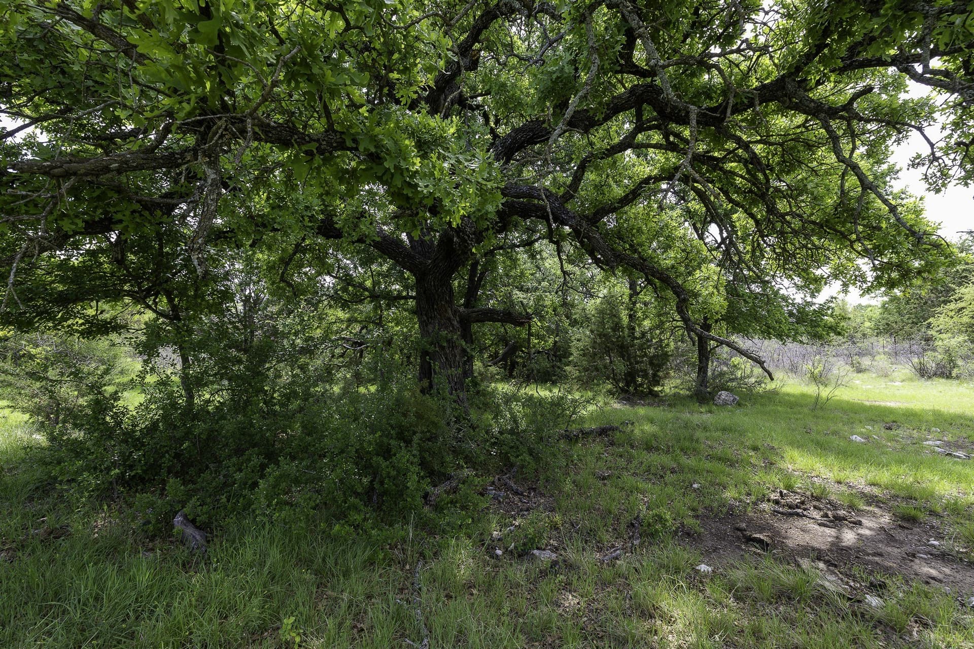 24 acres in Brown County gallery image 2