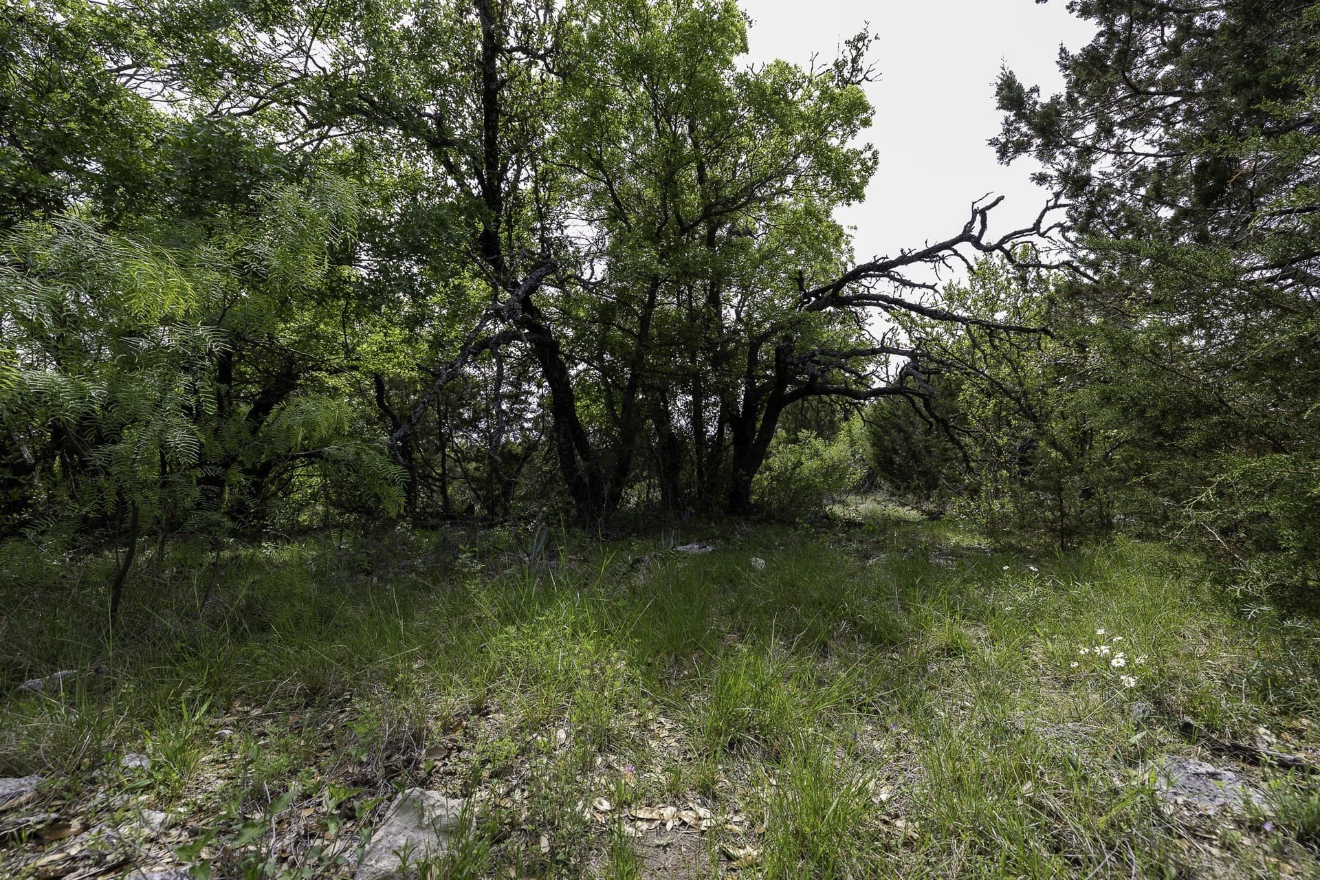 24 acres in Brown County - photo 34