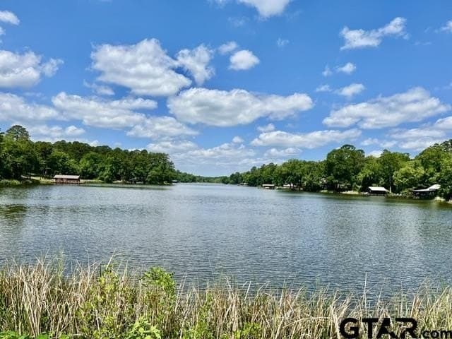 55 acres in Wood County - photo 29