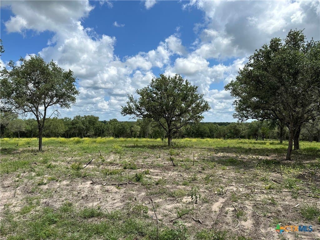 7.73 acres in Goliad County - photo 4