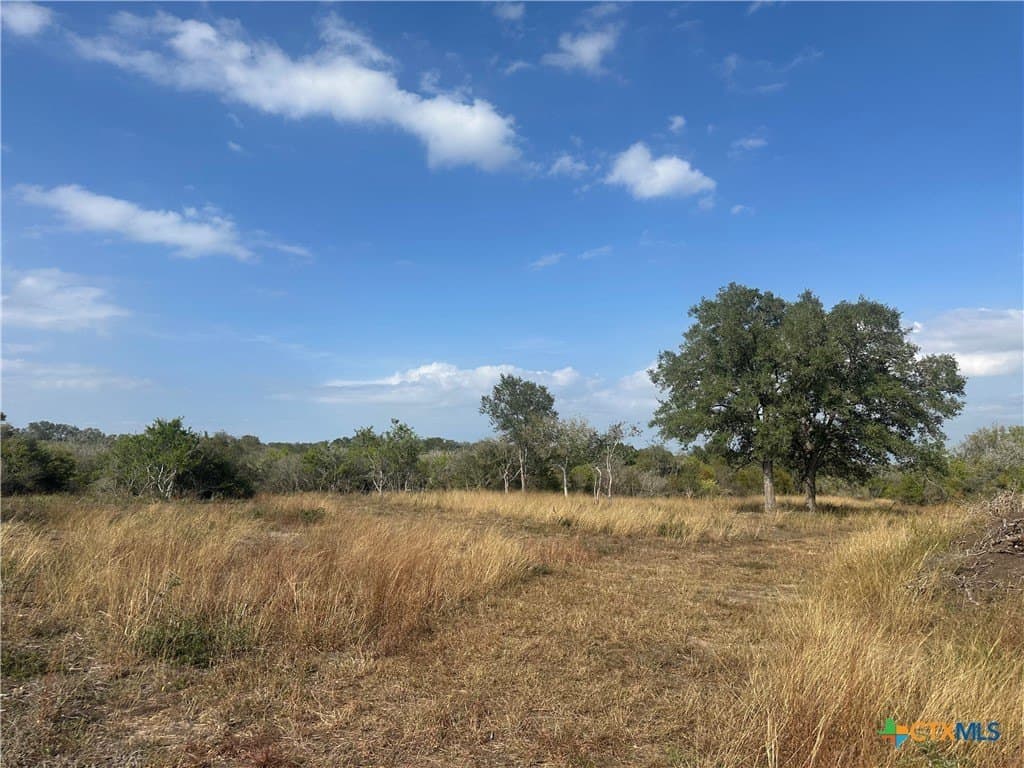 7.73 acres in Goliad County - photo 5