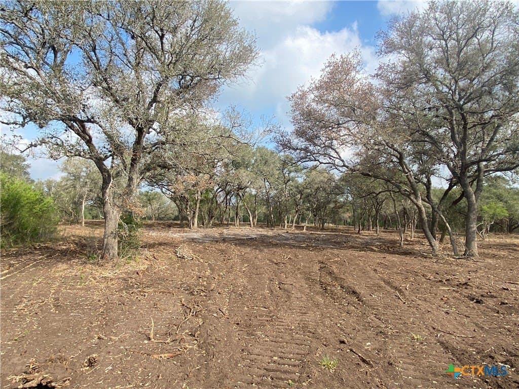 7.73 acres in Goliad County