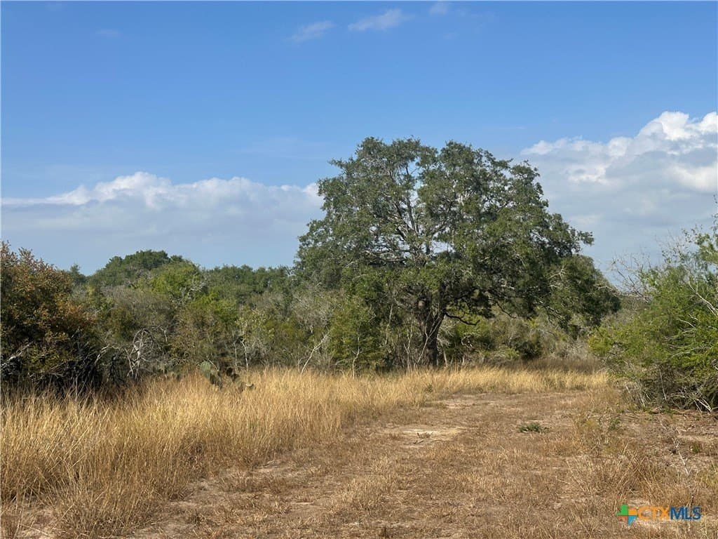 7.73 acres in Goliad County - photo 6