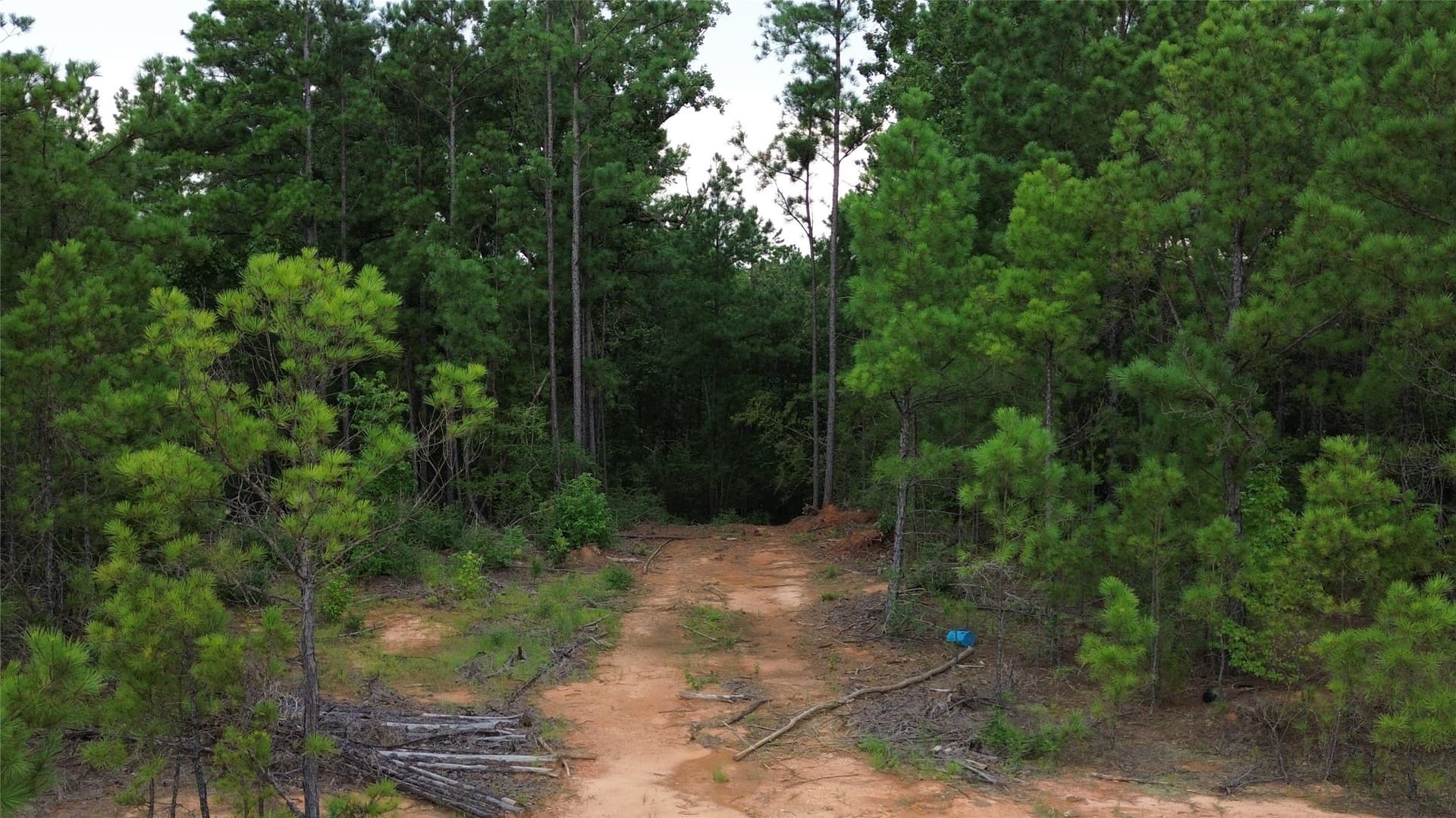 13.89 acres in Rusk County - photo 13