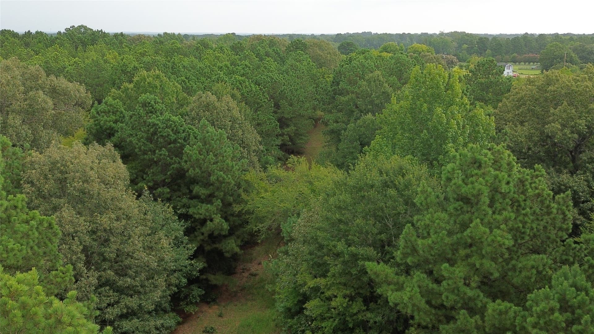13.89 acres in Rusk County - photo 16