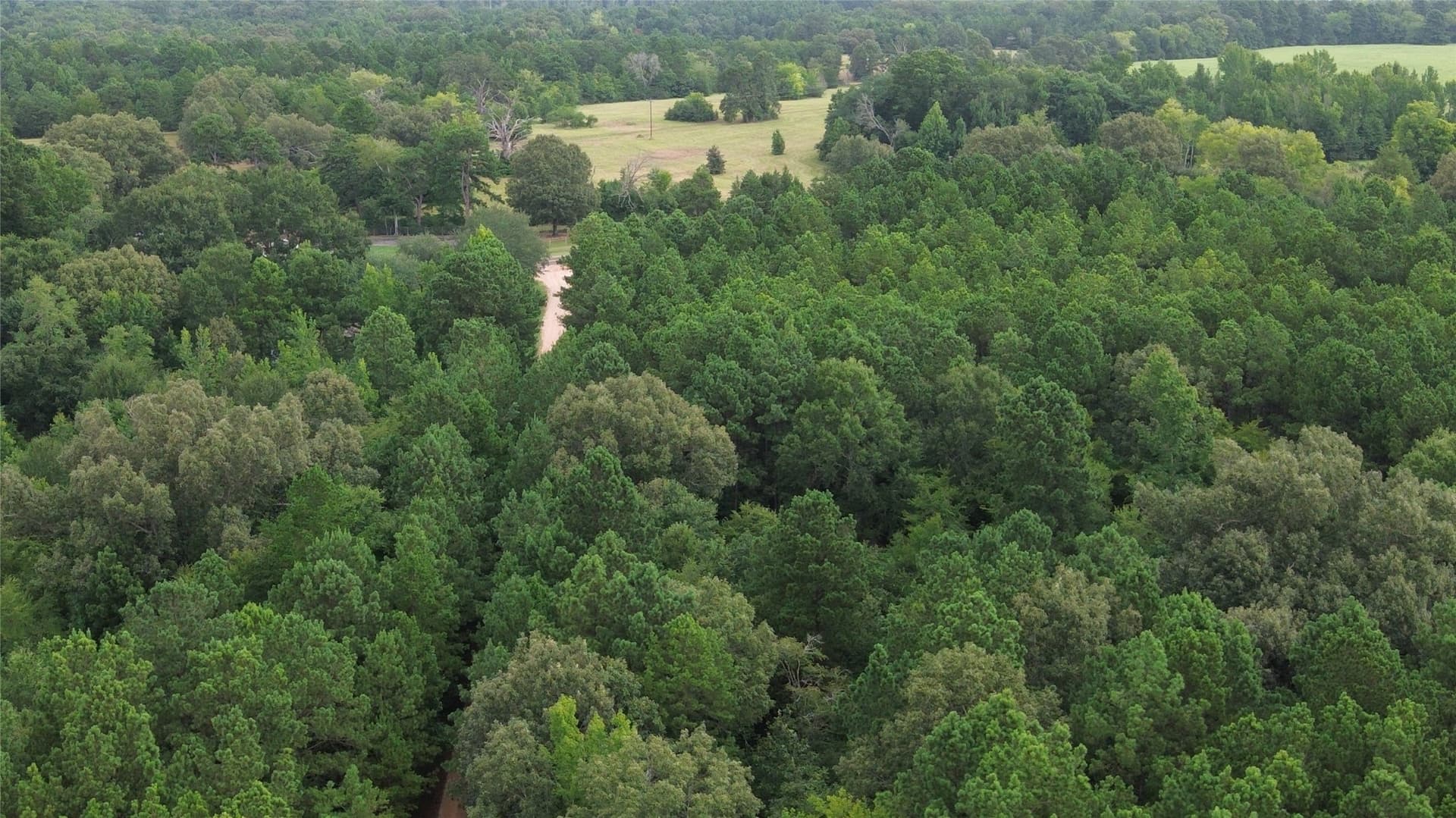 13.89 acres in Rusk County - photo 10