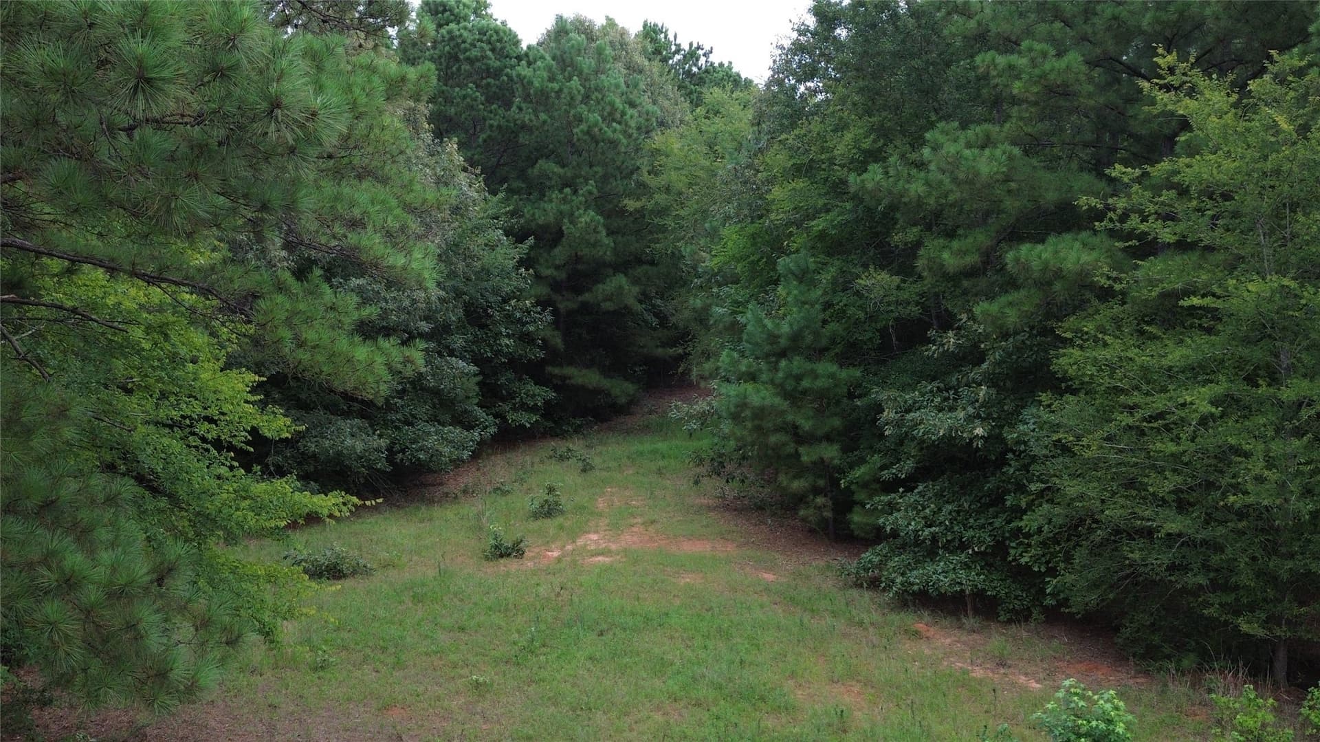 13.89 acres in Rusk County - photo 15