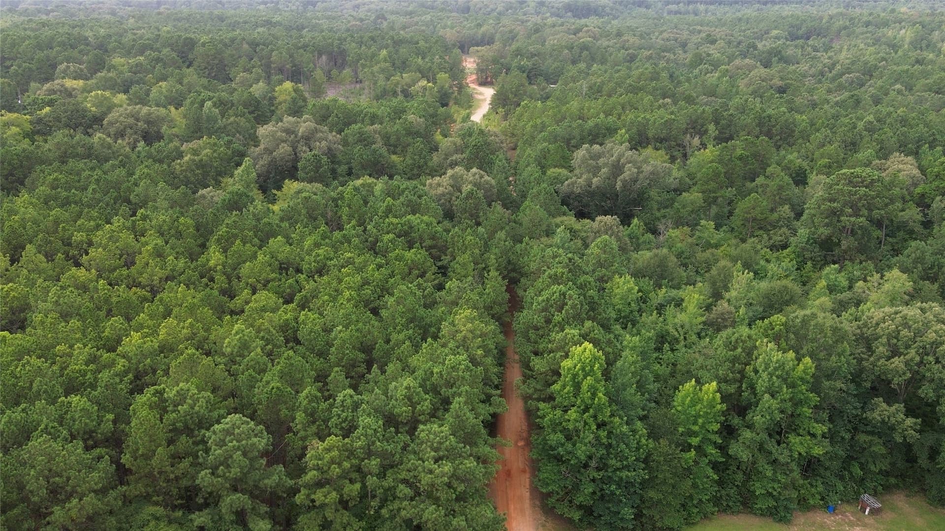 13.89 acres in Rusk County - photo 5