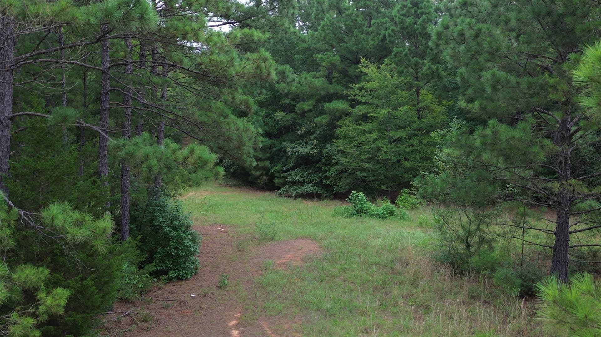 13.89 acres in Rusk County - photo 14