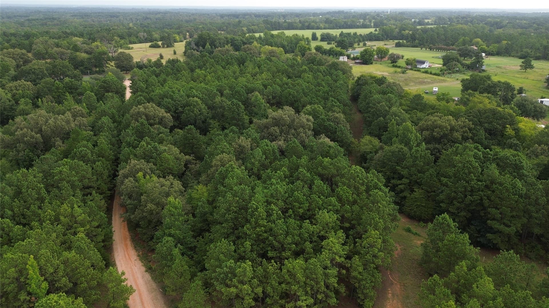 13.89 acres in Rusk County - photo 9