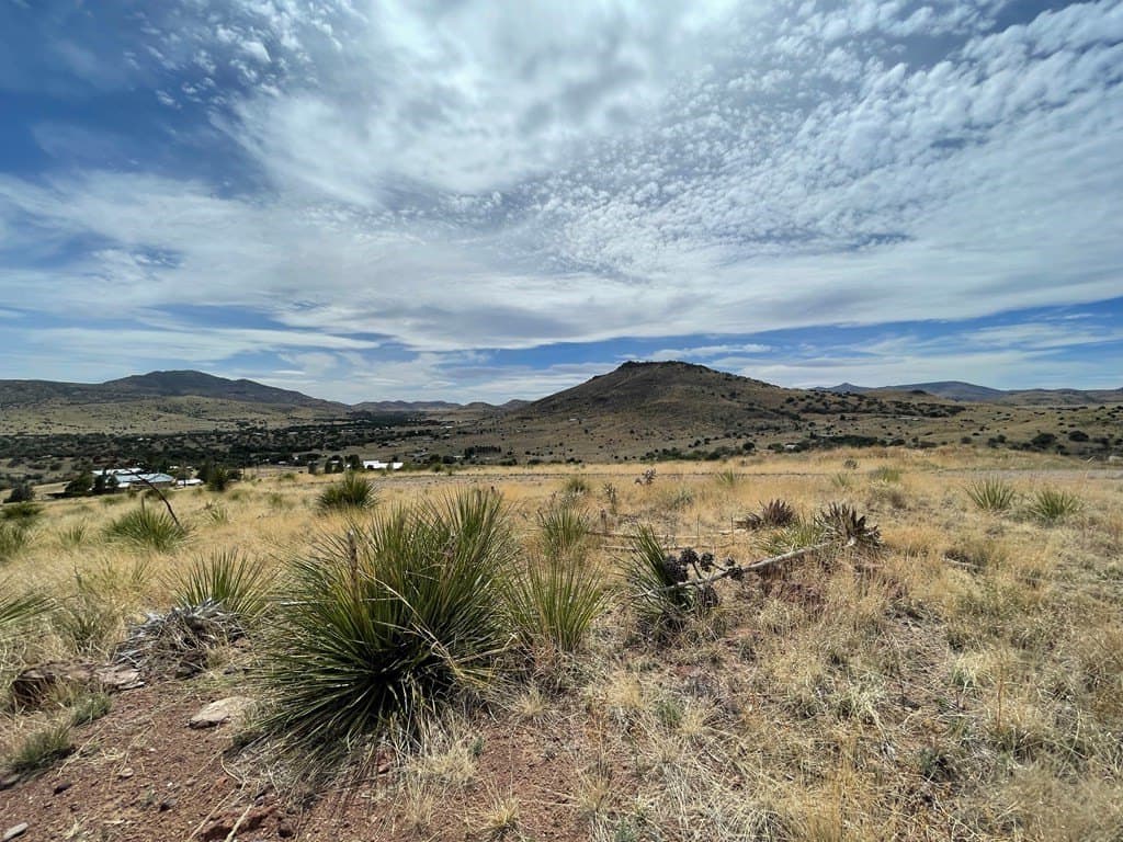 5 acres in Jeff Davis County - photo 8