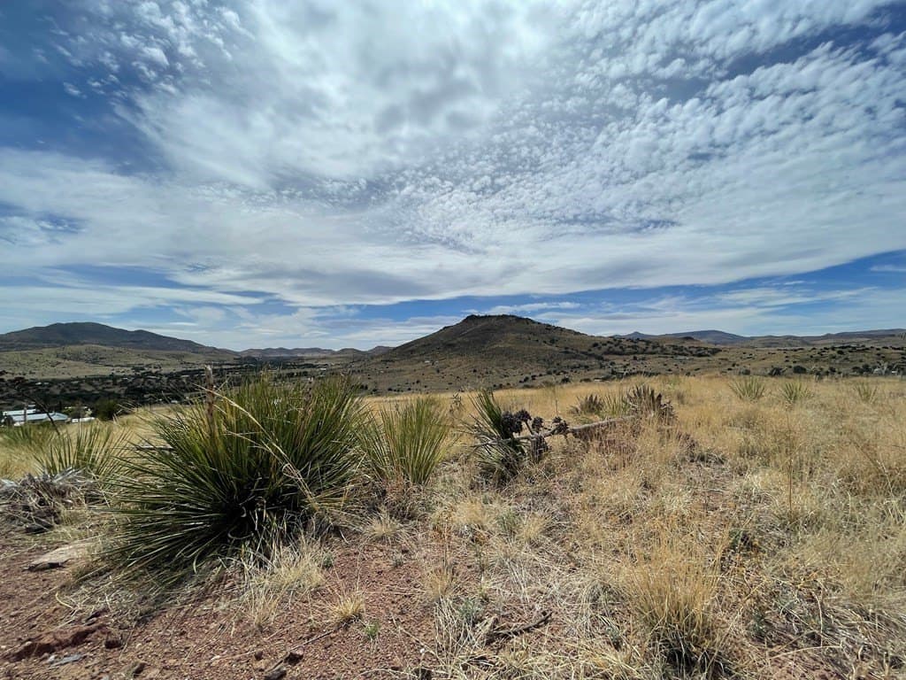 5 acres in Jeff Davis County - photo 9