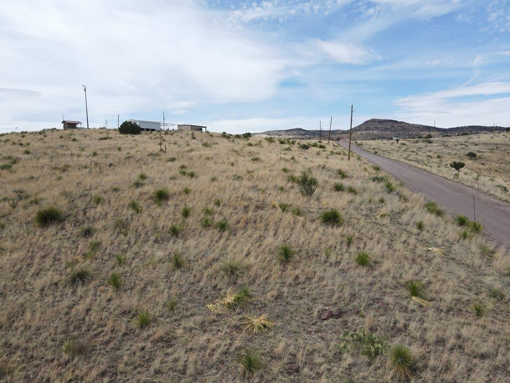 5 acres in Jeff Davis County - photo 39
