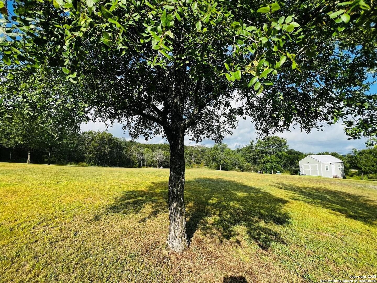 0.18 acres in Burnet County gallery image 2