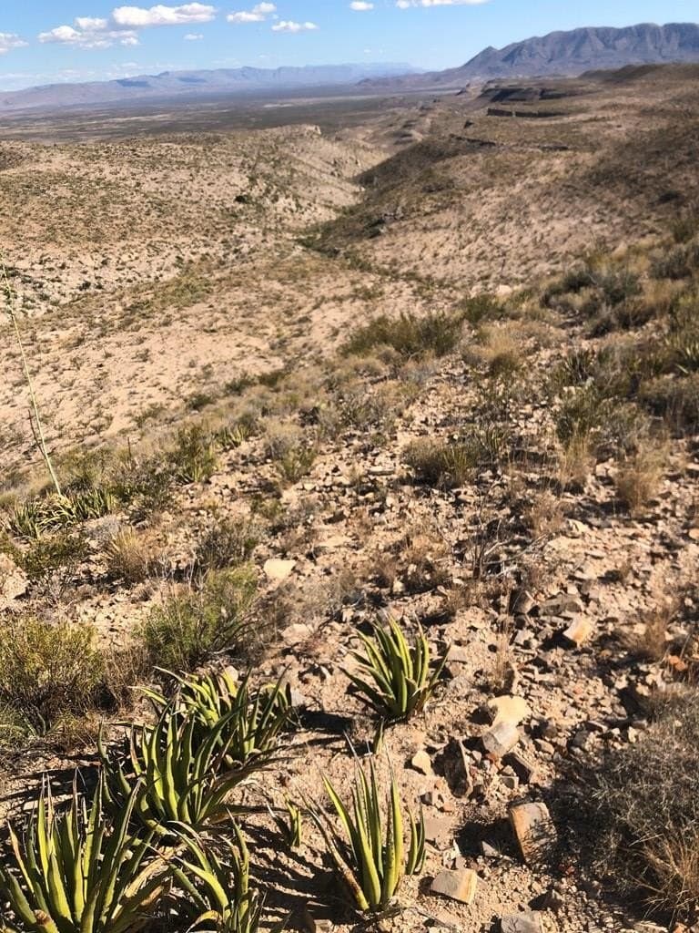 20 acres in Brewster County