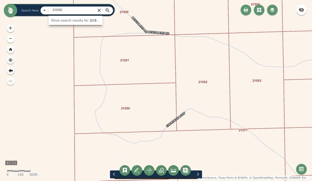 20 acres in Brewster County featured view