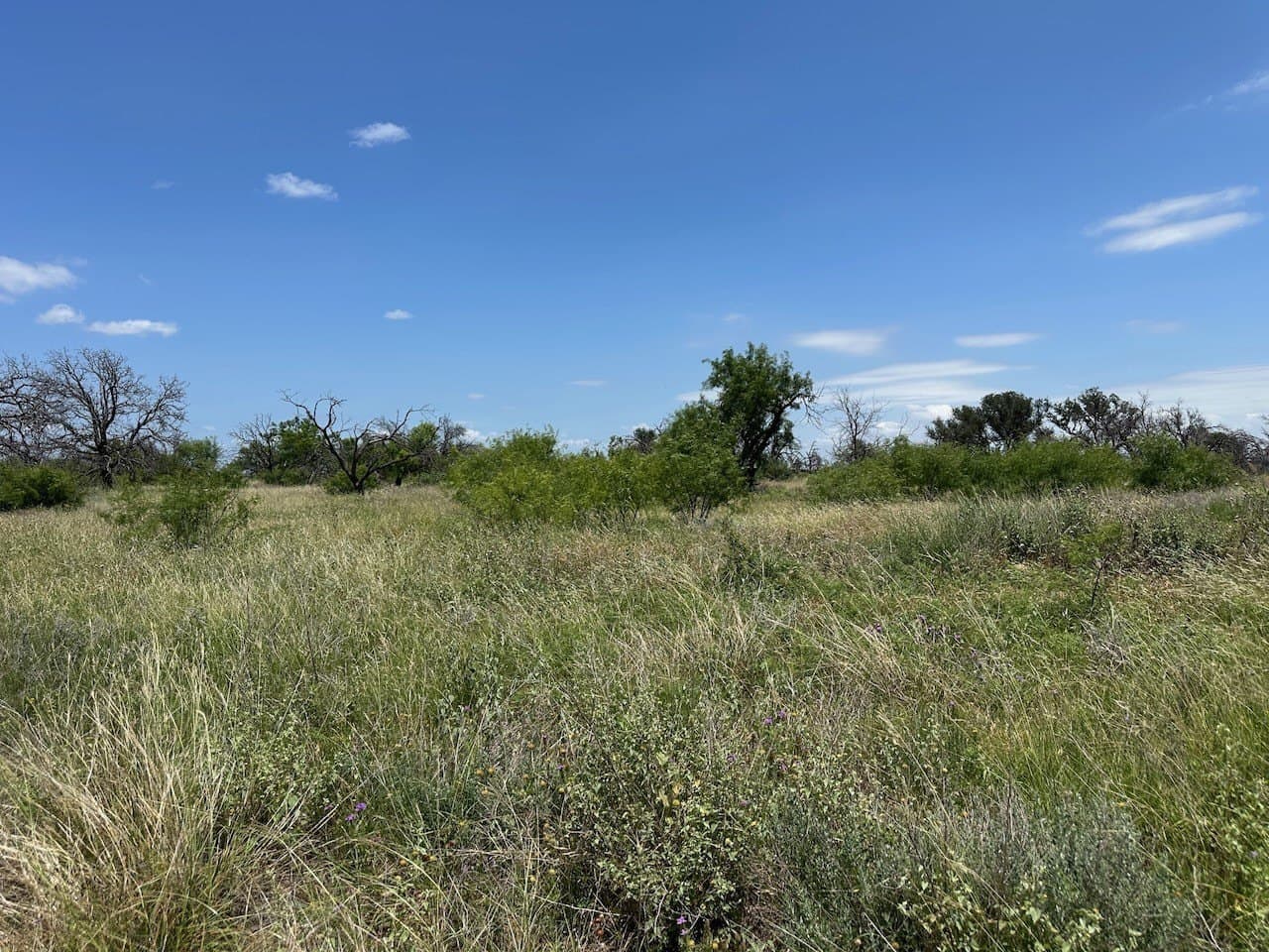 0.81 acres in Brown County - photo 7