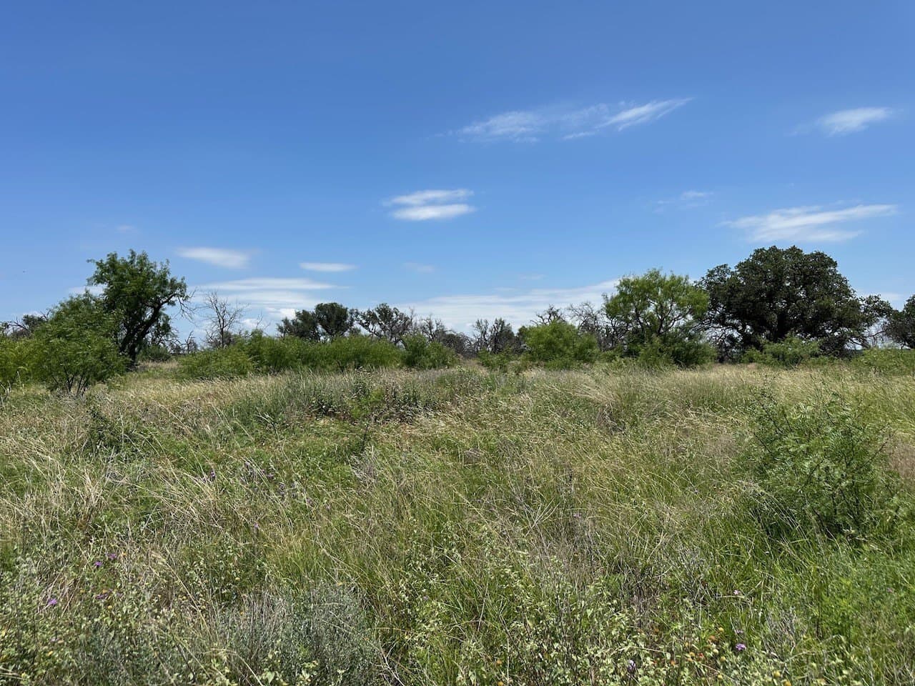 0.81 acres in Brown County - photo 6