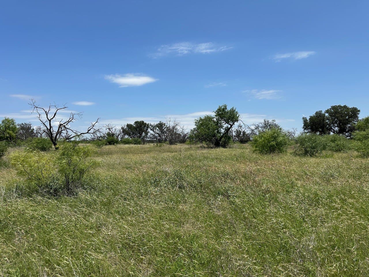 0.81 acres in Brown County gallery image 4