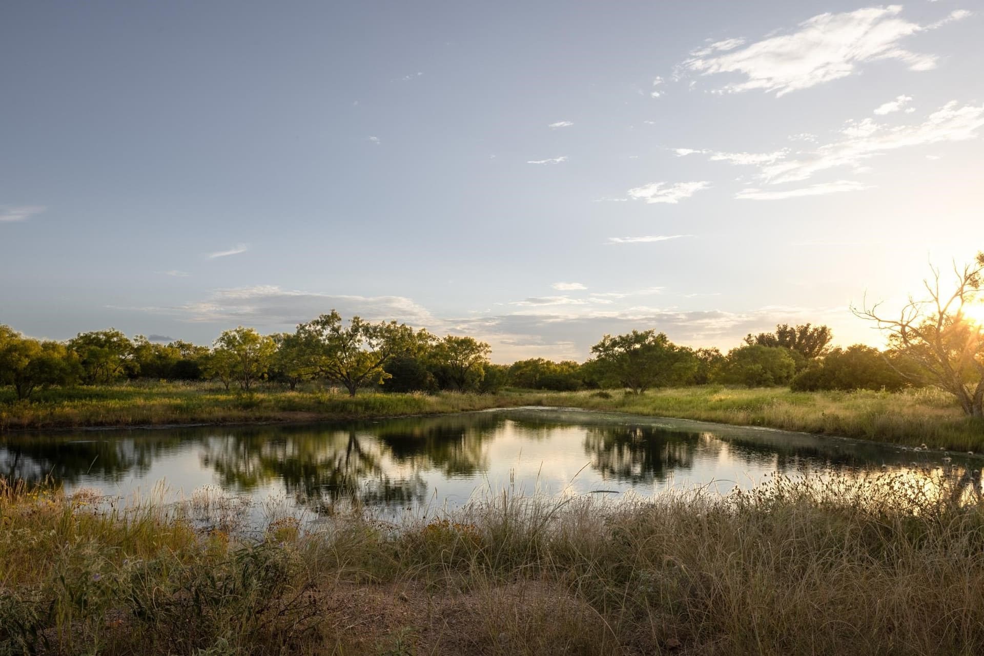 282 acres in Llano County gallery image 4