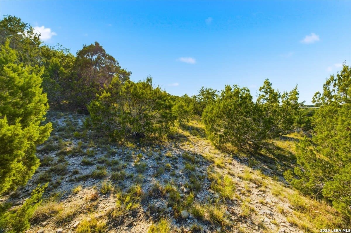 3.04 acres in Comal County - photo 25