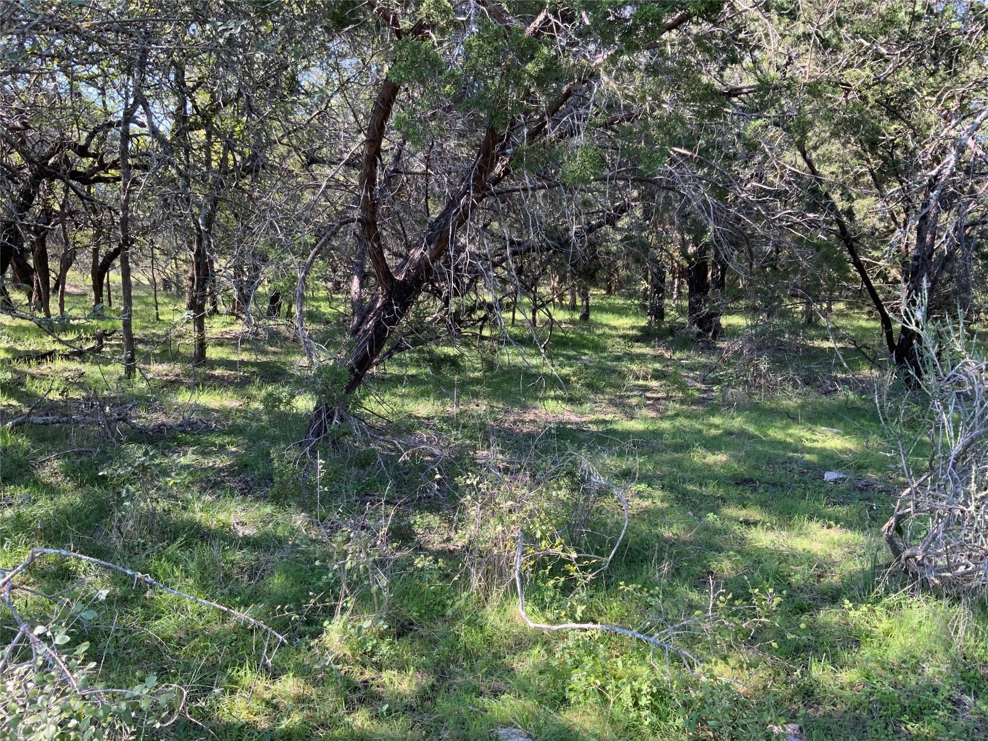723 acres in Comanche County - photo 29