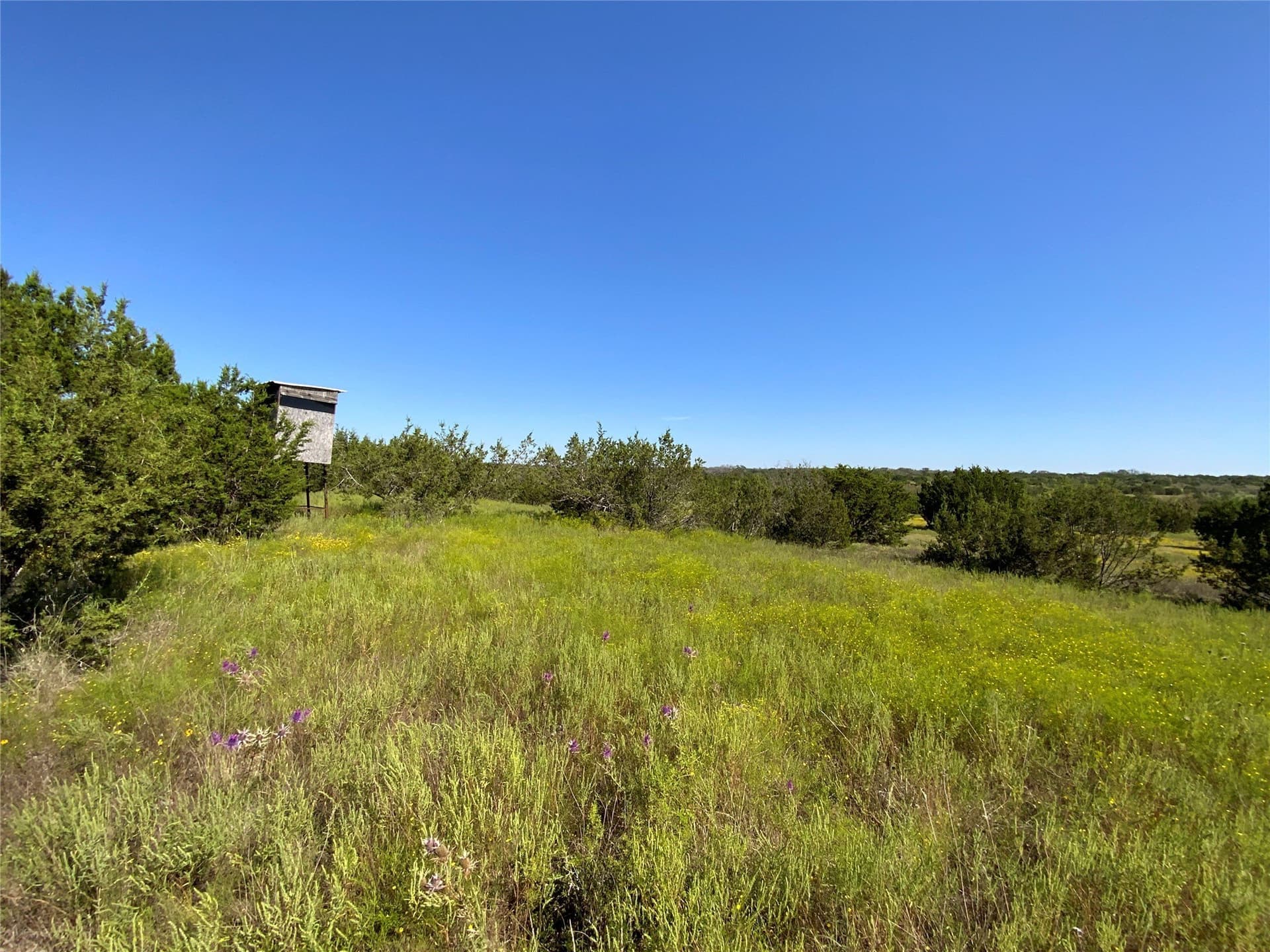 723 acres in Comanche County - photo 24